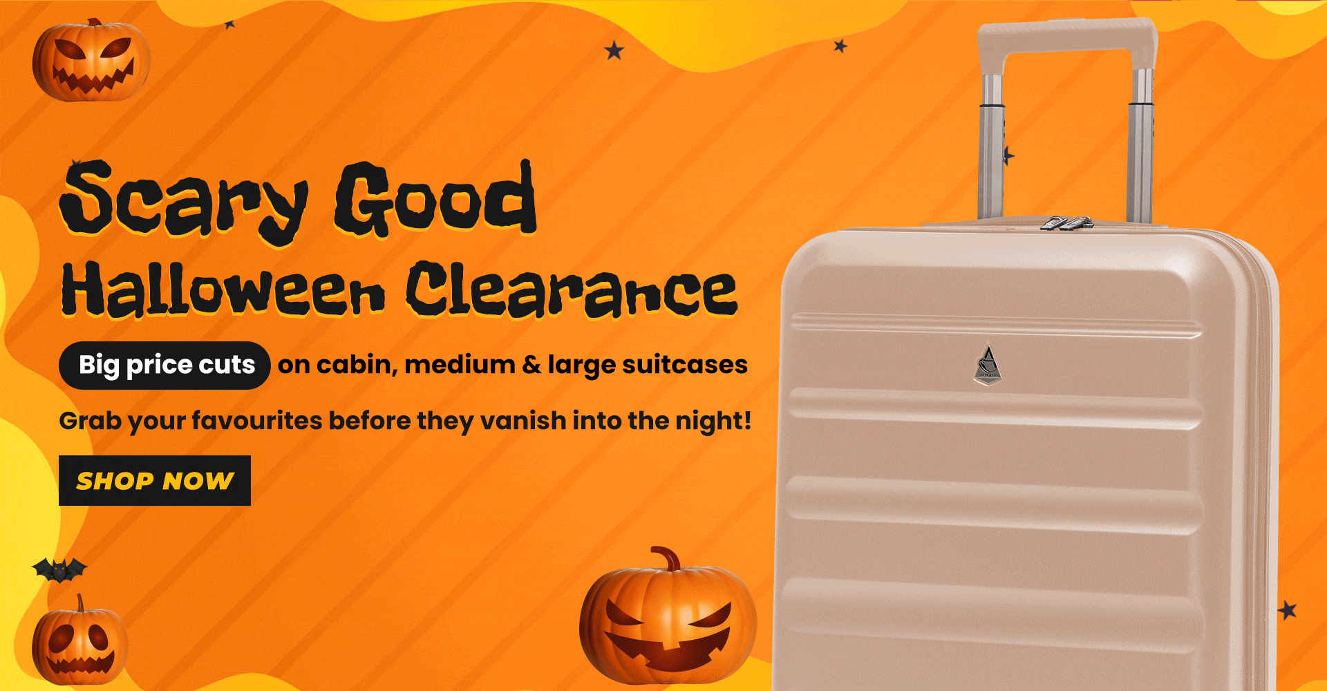 Travel Luggage & Cabin Bags